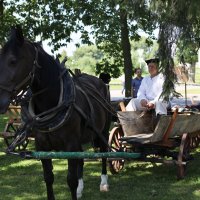 Zobacz w powiększeniu: POWSTANIE STYCZNIOWE – 160 lat później w Baranowie (70)
